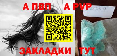 спиды Гатчина