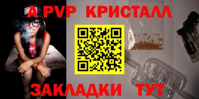 спиды Гатчина