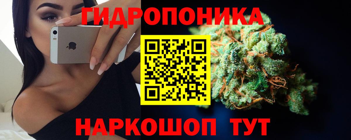 Марихуана THC 21%  МАРИХУАНА AK-47  Бошки марихуана THC 21%  Мытищи  Вход с VPN  Каннабис White Widow 